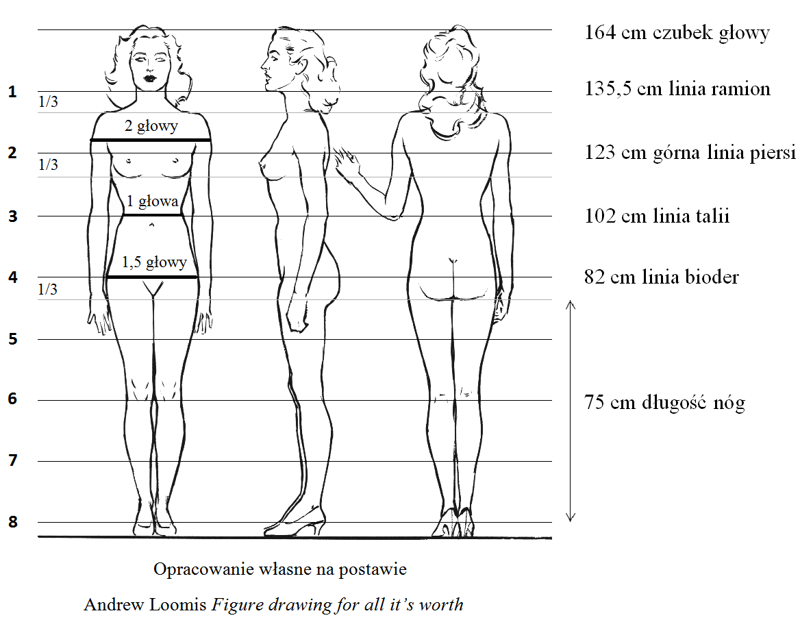 Idealne proporcje ciała kobiety według podręcznika do nauki rysunku