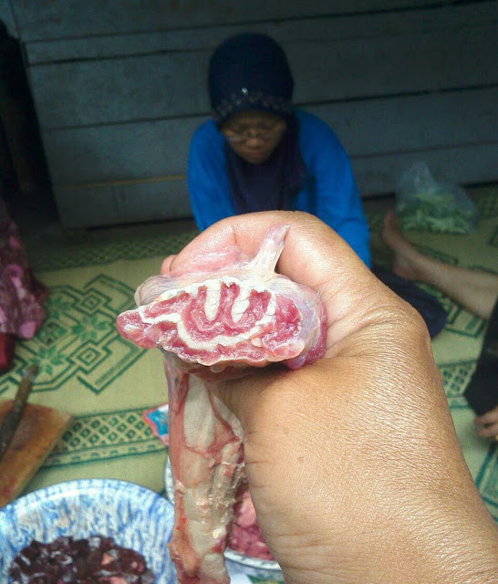 Subhanallah, Muncul Lafadz Allah Di Potongan Daging Kurban