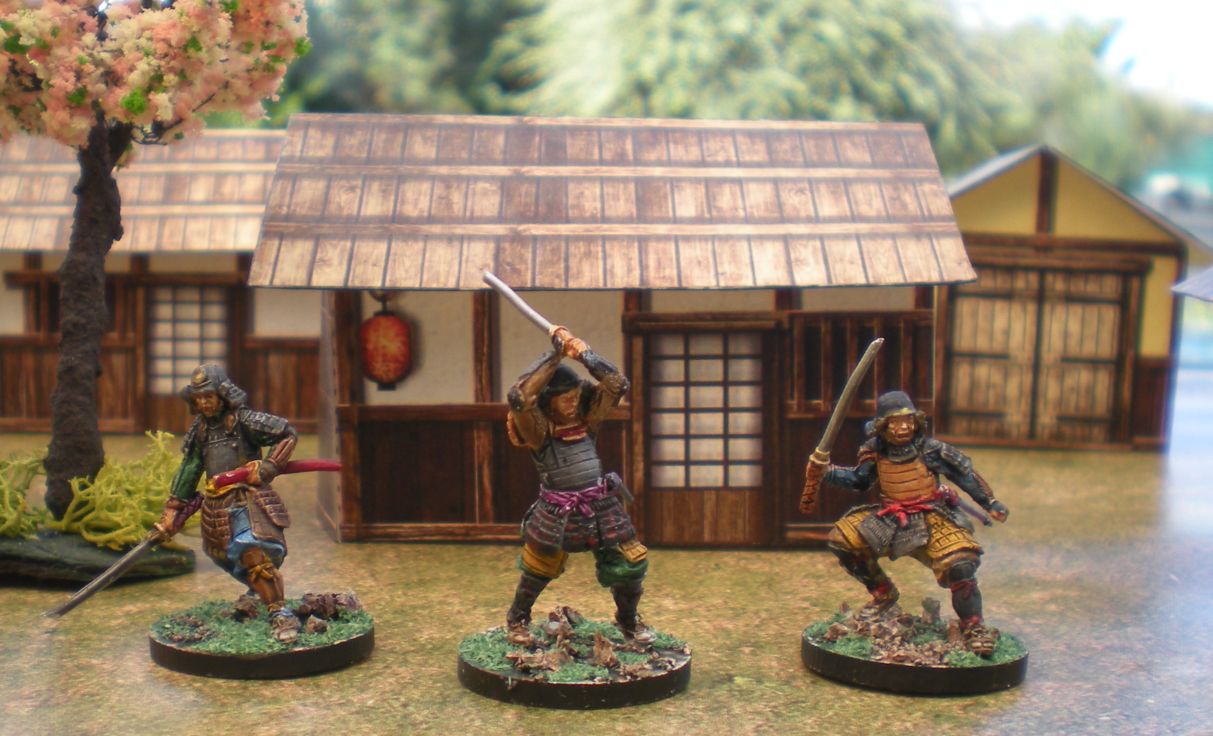Les samouraïs de Bawon-sama - Page 2 DSCN6772