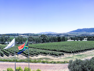 Cape Town, Constantia, Etelä-Afrikka, Franschhoek, Kapkaupunki, Paarl, South Africa, Stellenbosch, viinintuotanto, wine, wine valley