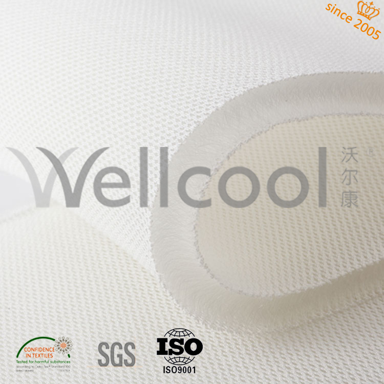 Quanzhou Wellcool Cushion Technology CO, LTD Wellcool The King Story