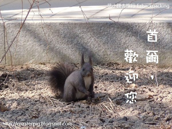 省錢遊首爾:精華遊行程規劃目錄