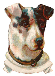 dog terrier animal image label clipart download
