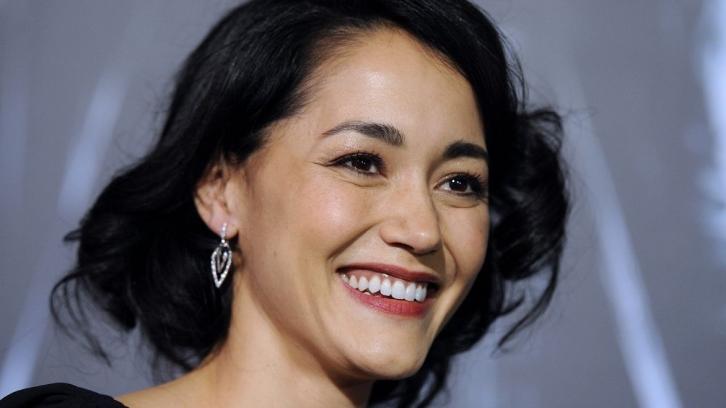 Milliard Silicon håndtering Law and Order SVU - Season 20 - Sandrine Holt to Recur