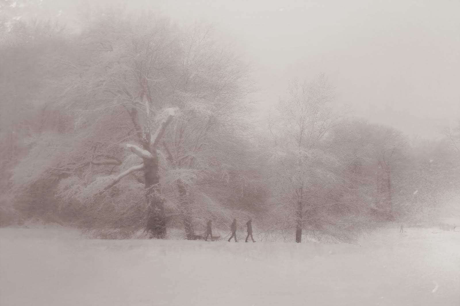 Wo Stille Wohnt Und Glanz Januar 2019