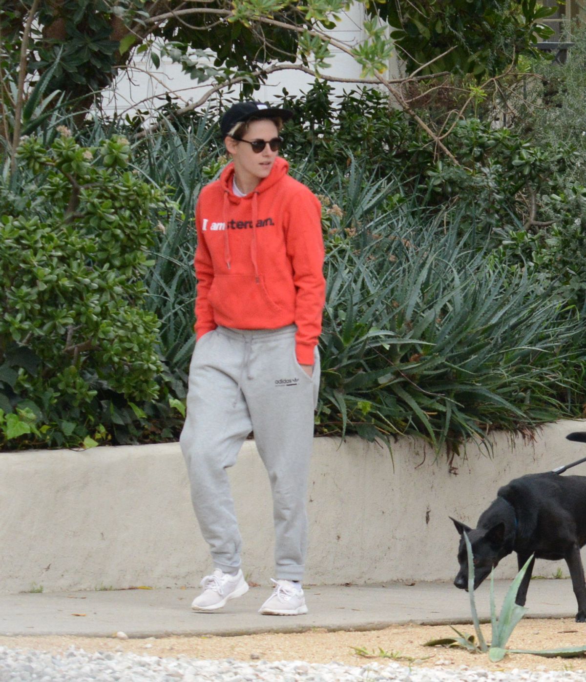 Kristen Stewart Enjoys A Hike Out With Her Dog And Friends in Los ...