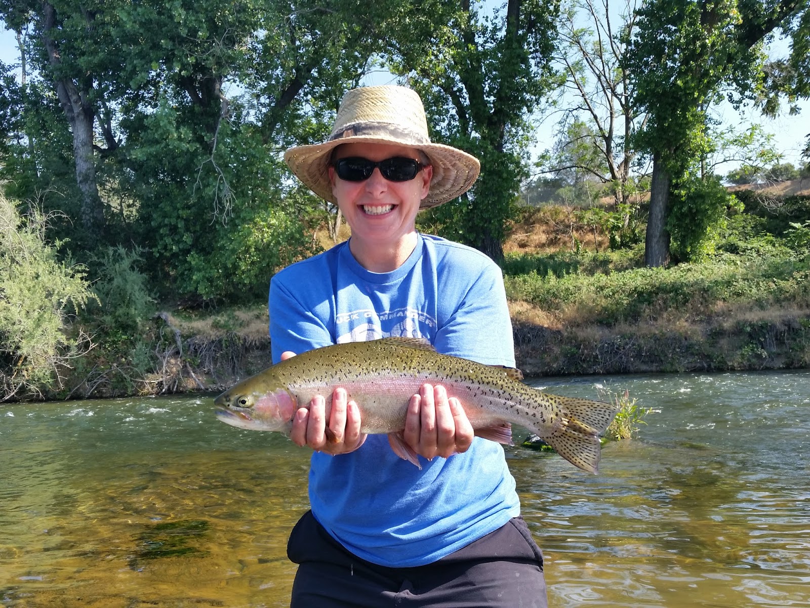Nor Cal Fly Guides Ncfg Blog Northern California Fly Fishing Guide