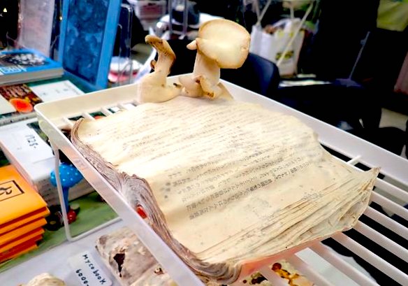 本からキノコが生えた？日本初のキノコライター堀博美の不思議なアート作品【a】