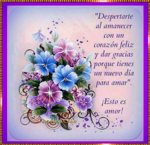 FRASES Y GIFS: Despertare