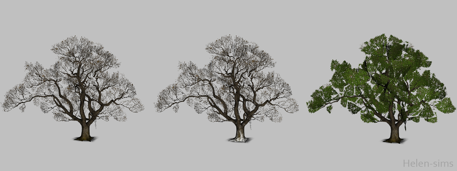 Тест 4 дерева. Симс 4 деревья. Четыре дуба. Oak Tree игра. Деревья дубы диорама.