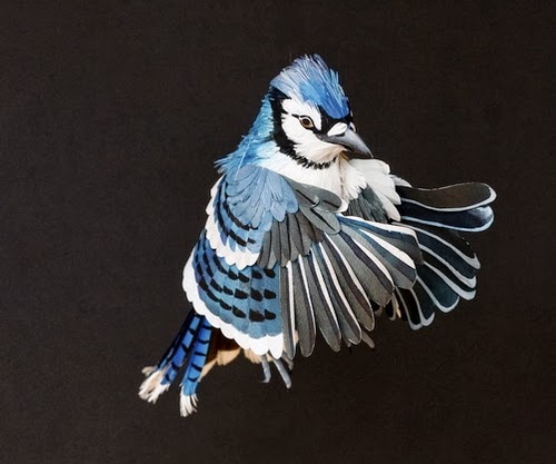 05-Blue-Jay-Paper-Bird-Sculptures-Colombian-Artist-Diana-Beltran-Herrera-www-designstack-co