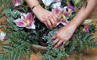 Arreglo Floral con Lirios y Canasta de Mimbre, Ideas Faciles para Decorar 