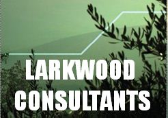 LARKWOOD CONSULTANTS