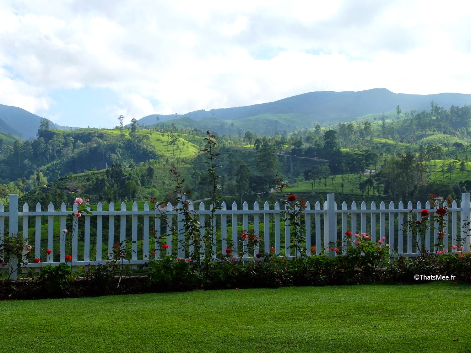 Jardin hotel Amaya Langdale Nuwara Eliya Sri-Lanka  au coeur des plantations thé 