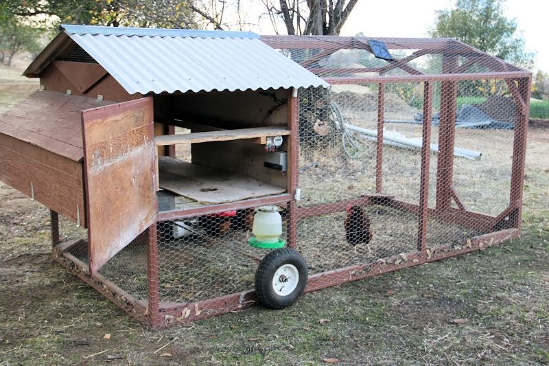Sunny Slope Orchard Our mobile chicken coop