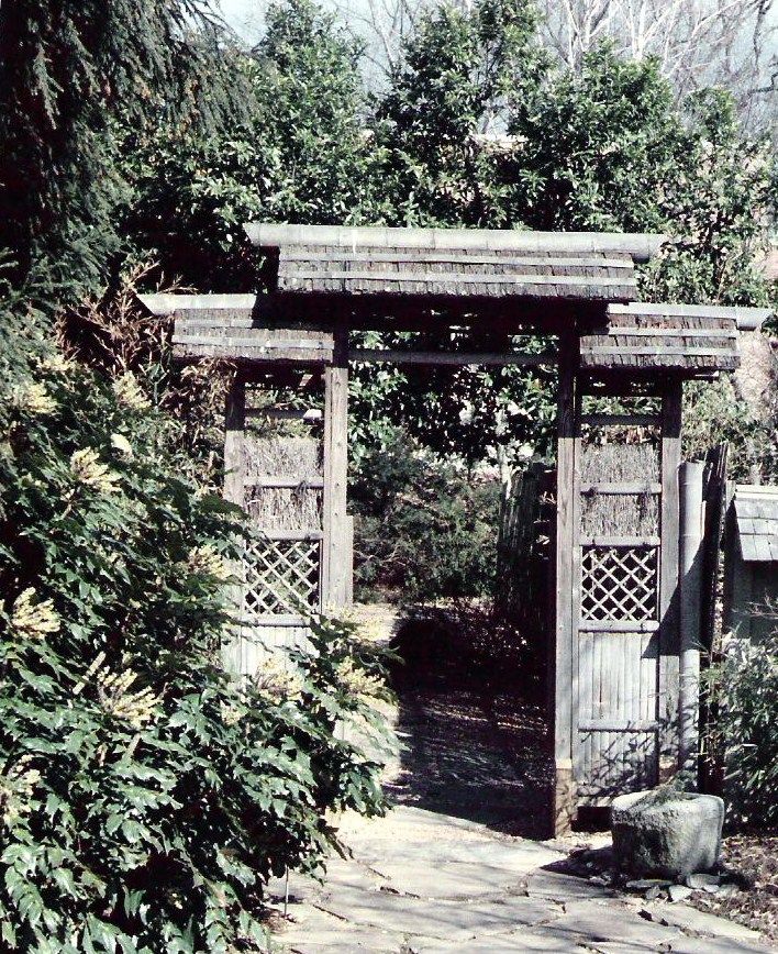 Bonsai Beginnings 2011 Atlanta Bonsai Society Exhibit