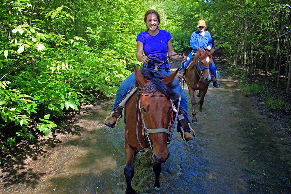 Dallas Trinity Trails Horseback Riding The Trinity River