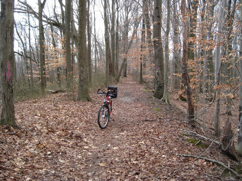 1st State BIKES Discover the Abandoned New CastleFrenchtown Railroad