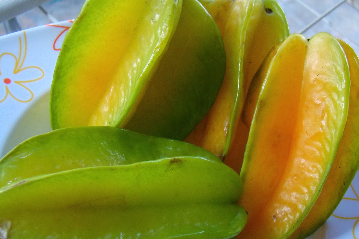 DiscoverSriLanka SRI LANKA STAR FRUIT