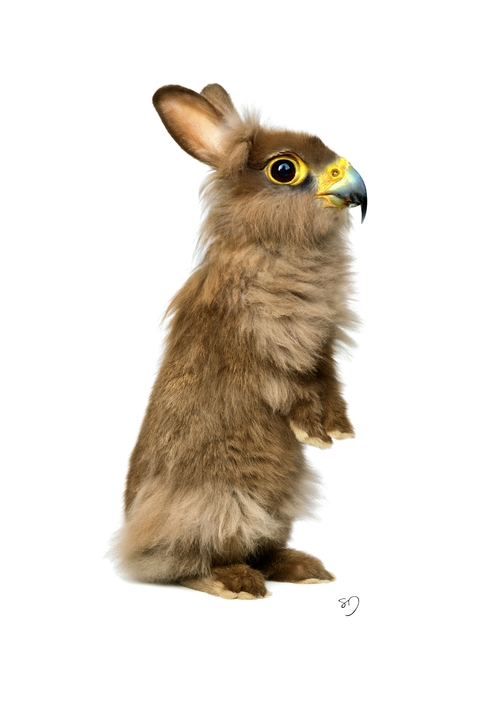 06-Hawk-Rabbit-Sarah-DeRemer-You-Are-what-You-Eat-Photo-Manipulation-www-designstack-co