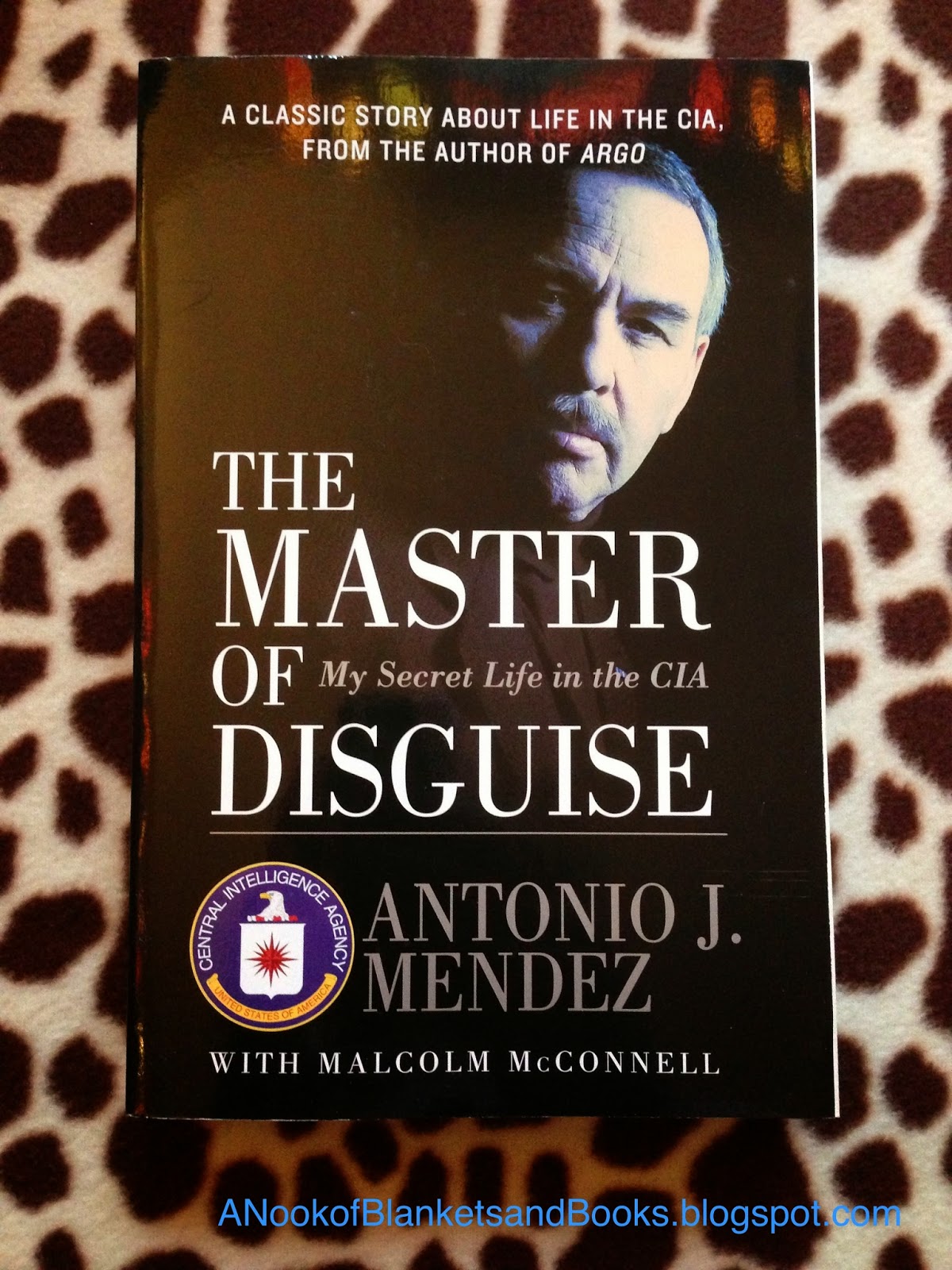 The Master Of Disguise Imdb - duwu3b8