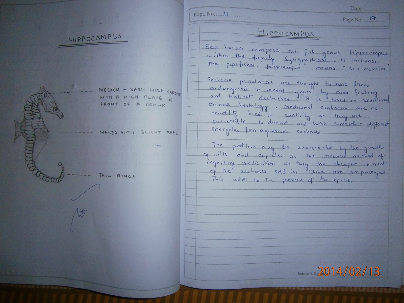 Distance Education University