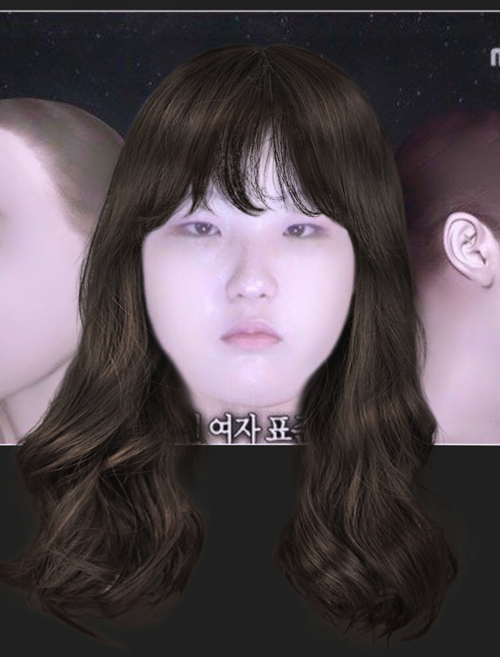 D編集長の裏ブログ 韓国人女性の平均顔に色んな髪型を合成した結果