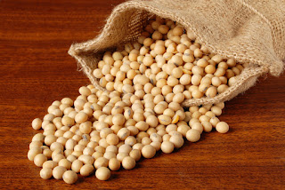 Hasil carian imej untuk kacang soya