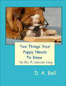 Ten Things Your Puppy Needs to Know