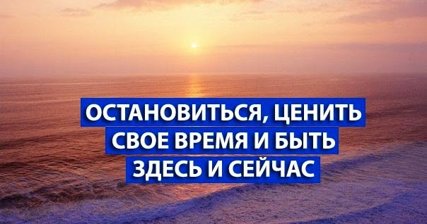 жить в моменте здесь и сейчас. дэниел дзоватто. счастье здесь и сейчас цитаты. будь здесь и сейчас 2015. жить здесь и сейчас цитаты.