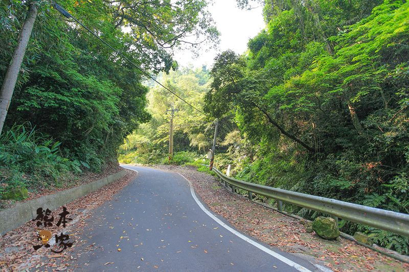 藍鵲喜居|苗栗公館民宿包棟|賞螢火蟲 油桐花 泡溫泉 烤肉