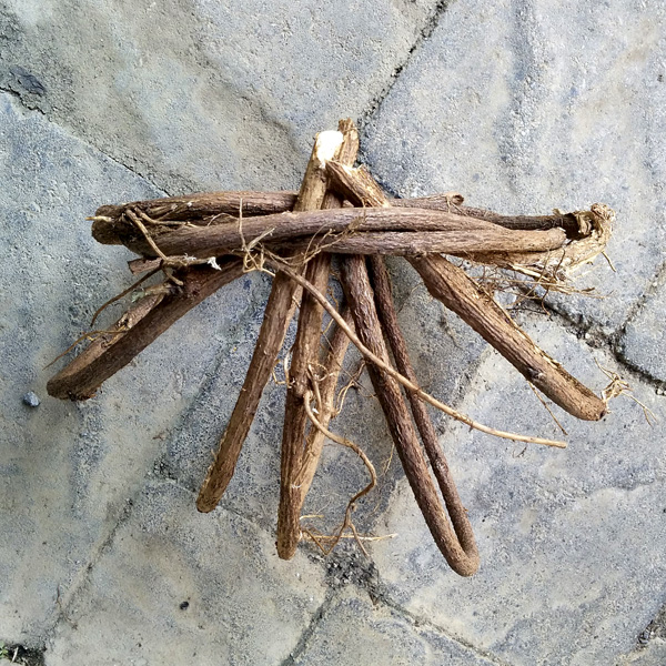 Nessy Designs Wisteria Basket