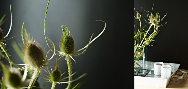 Blog + Fotografie by it's me! - Collage von Disteln als Vasenblume