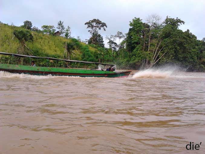 Transportasi Sungai dan Alat Penambang Emas | DEPOT - PICTURE