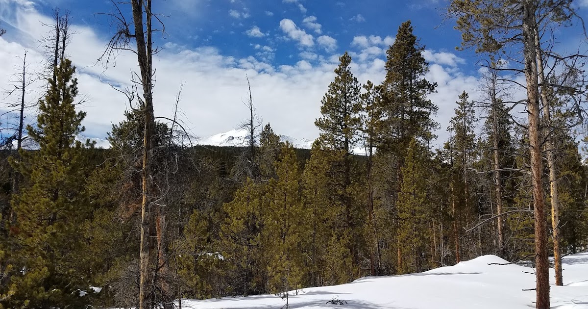 Kearney Park Loop Snowshoeing at Leadville Fish Hatchery