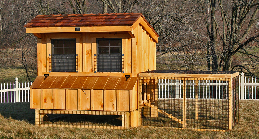 Which is The Best Chicken House to Buy? biographypedia