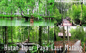 Menikmati Keindahan Alam dan Berekreasi di Hutan Lipur Negeri Perak