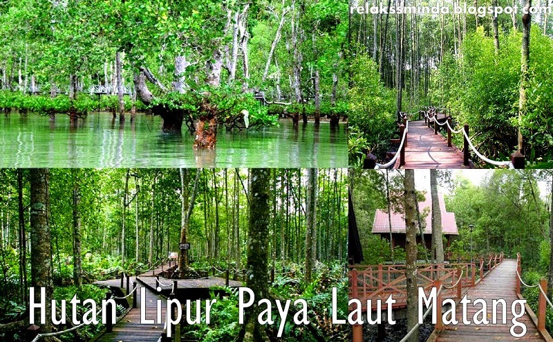 Ide Hutan Simpan Di Malaysia, Terbaru!