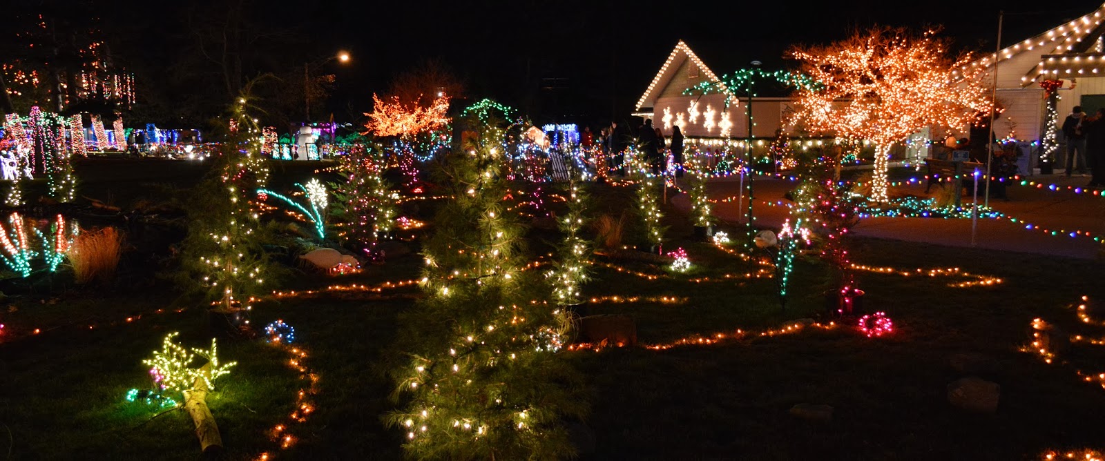 Fresh Vintage Home The Lights of Christmas on Camano Island