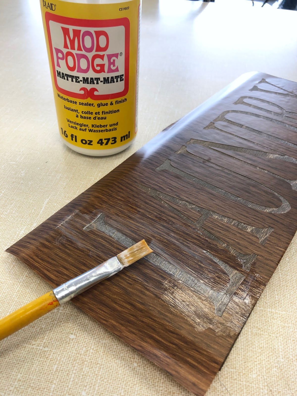 Dollar Tree Shelf Liner Cricut Hack