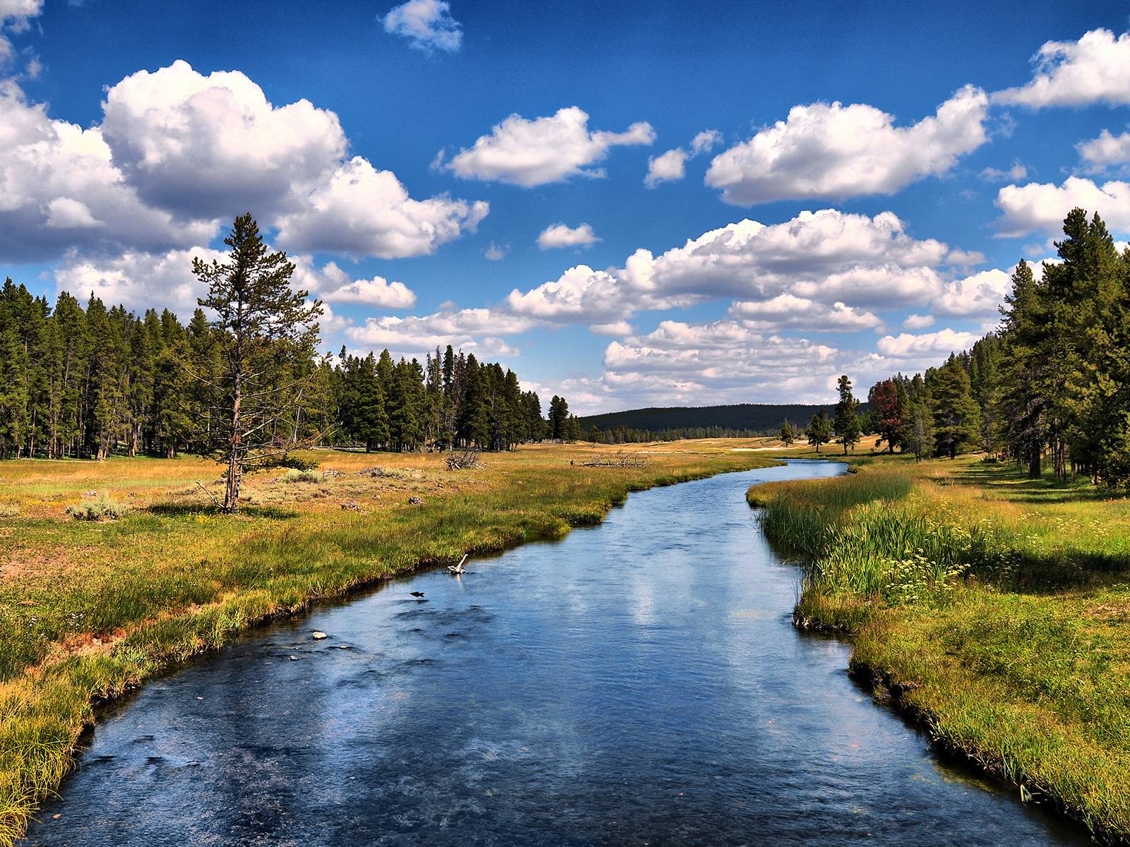 35 yellowstone national park hd