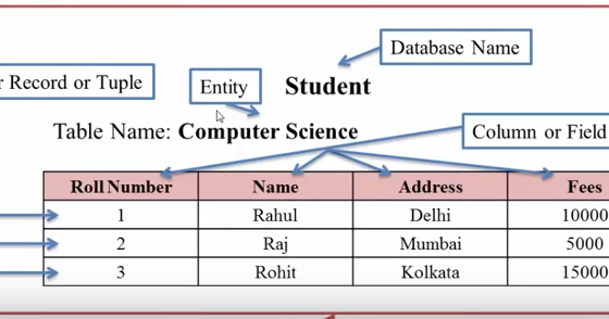 What is database? ~ Computer Languages (clcoding)
