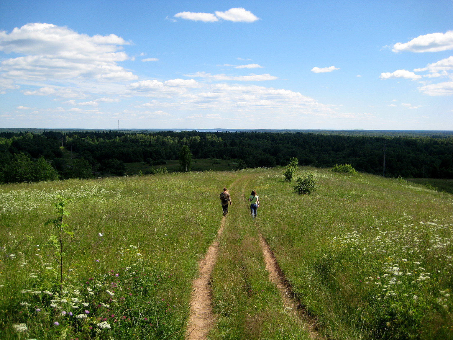 Гора ореховна