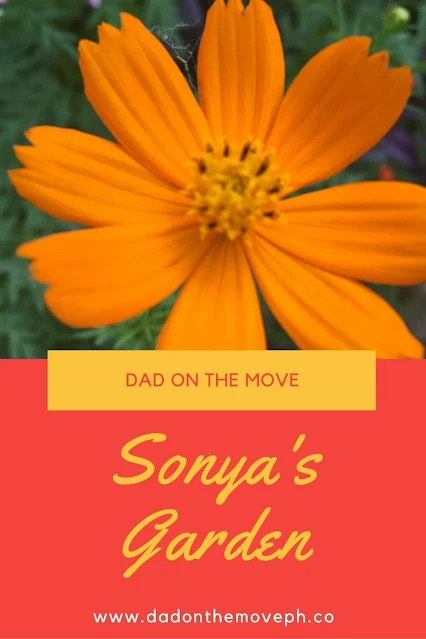 Sonya's Garden review