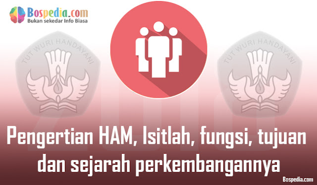 Pengertian HAM, Isitlah, fungsi, tujuan dan sejarah perkembangannya Serta Contoh