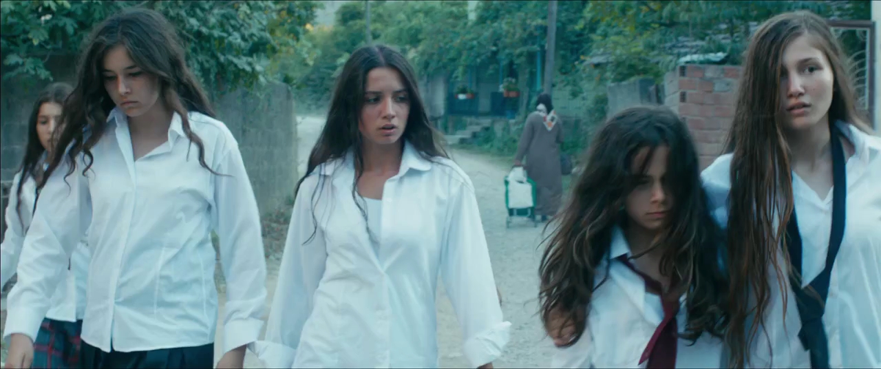 дениз амге эргювен мустанг. дога зейнеп догуслу. гюнеш шенсой мустанг. мустанг турецкий. тугба сунгуроглу.