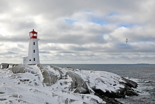 Peggyscove lighthouse matador seo