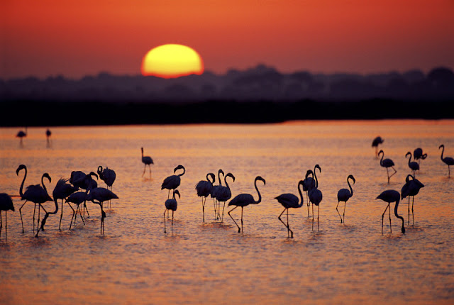 Andalucia - Sevilla - Donana - Cadiz - Sunset - Atardecer