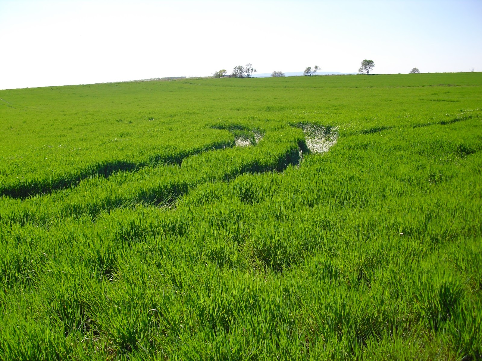 Camino de la Esperanza: LA REALIDAD…