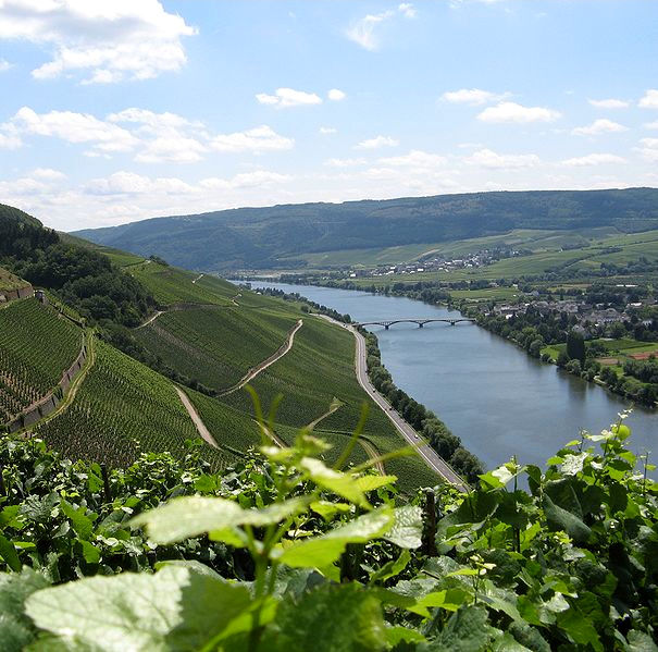 The idyllic countryside along the Moselle River in Germany.